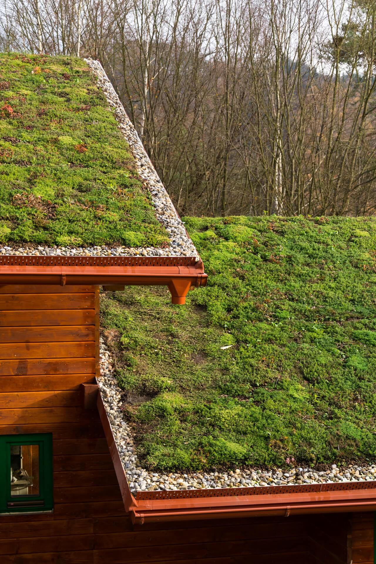 green-living-roof-wooden-building-covered-with-vegetation(1)